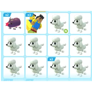 16X ADOPT ME PETS