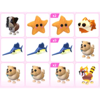 17X ADOPT ME PETS