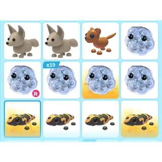30X ADOPT ME PETS