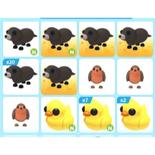 38X ADOPT ME PETS