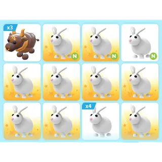 17X ADOPT ME PETS
