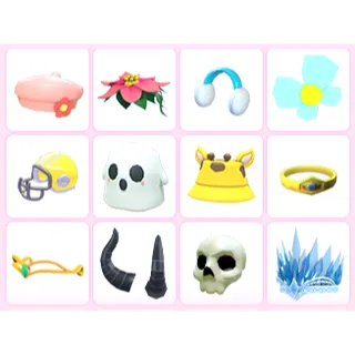 12X ADOPT ME PETWEAR