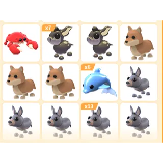 35X ADOPT ME PETS