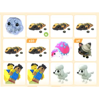 24X ADOPT ME PETS