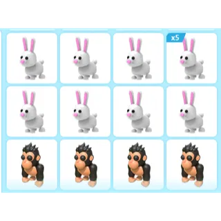 16X ADOPT ME PETS