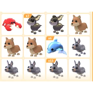35X ADOPT ME PETS