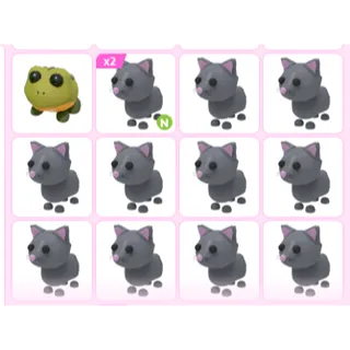 13X ADOPT ME PETS