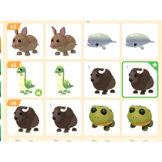 20X ADOPT ME PETS