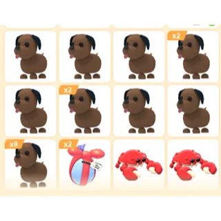 22X ADOPT ME PETS