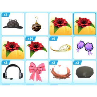 39X ADOPT ME PETWEAR