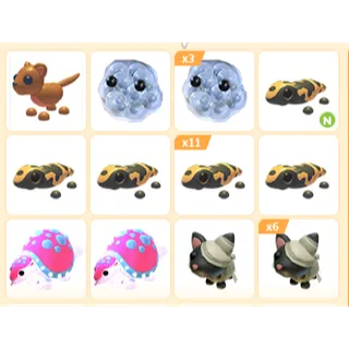 29X ADOPT ME PETS
