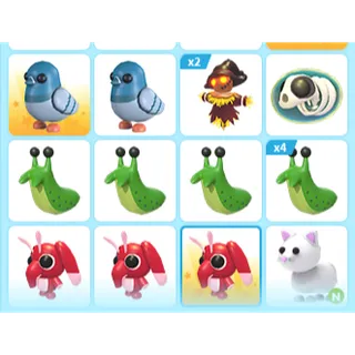 16X ADOPT ME PETS