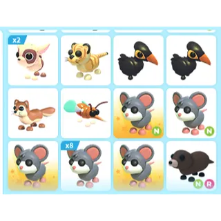 20X ADOPT ME PETS