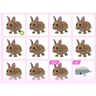 46X ADOPT ME PETS