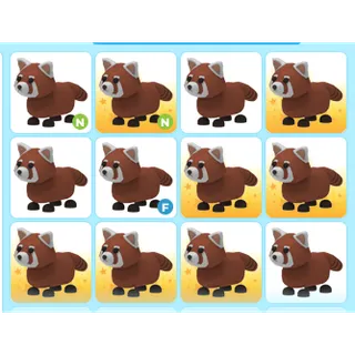 12X ADOPT ME PETS