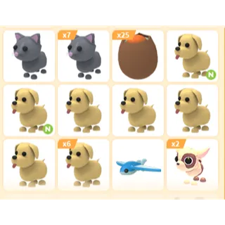 48X ADOPT ME PETS