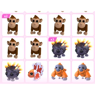 15X ADOPT ME PETS