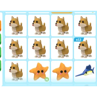 23X ADOPT ME PETS