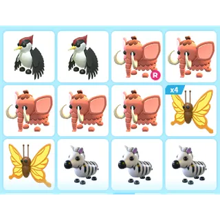 15X ADOPT ME PETS