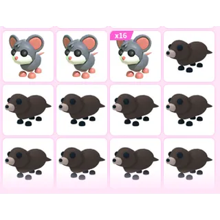 27X ADOPT ME PETS