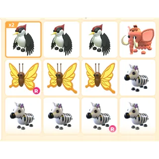13X ADOPT ME PETS