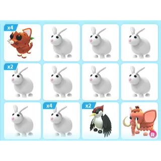 20X ADOPT ME PETS