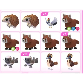 25X ADOPT ME PETS
