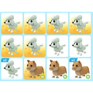 14X ADOPT ME PETS 