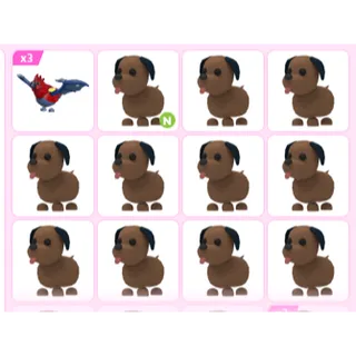 14X  ADOPT ME PETS