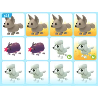 32X ADOPT ME PETS