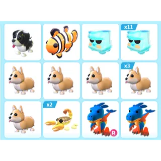 25X ADOPT ME PETS