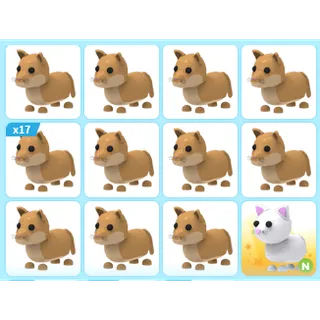 28X ADOPT ME PETS