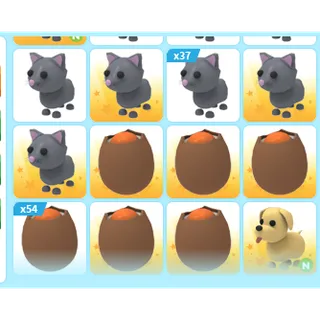 101X ADOPT ME PETS