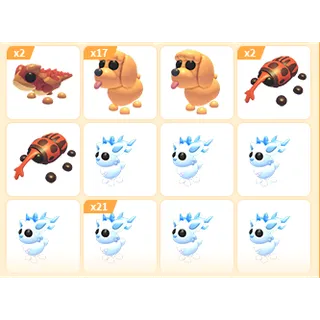 50X ADOPT ME PETS