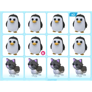 13X ADOPT ME PETS