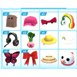35X ADOPT ME PETWEAR