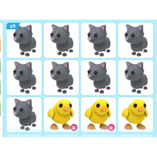 20X ADOPT ME PETS