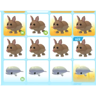 33X ADOPT ME PETS