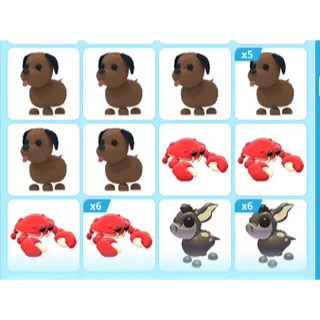 26X ADOPT ME PETS