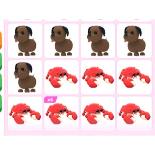 15X  ADOPT ME PETS