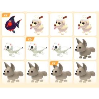 24X ADOPT ME PETS