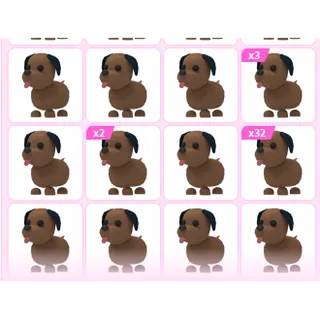 46X  ADOPT ME PETS
