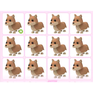 12X  ADOPT ME PETS