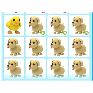 12X ADOPT ME PETS