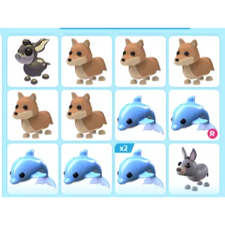 13X ADOPT ME PETS