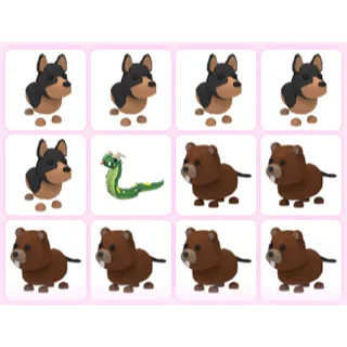 12X ADOPT ME PETS