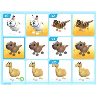 47X ADOPT ME PETS