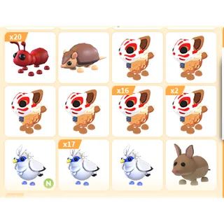 63X ADOPT ME PETS