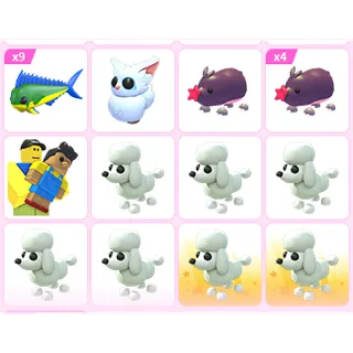 23X ADOPT ME PETS