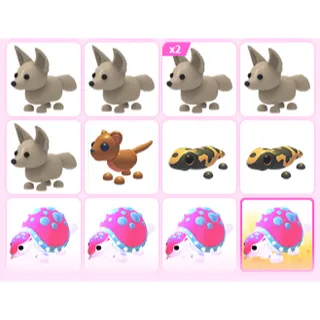13X  ADOPT ME PETS